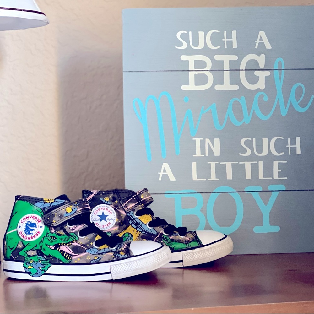 Converse Toddler Dinosaur High Tops Size 9